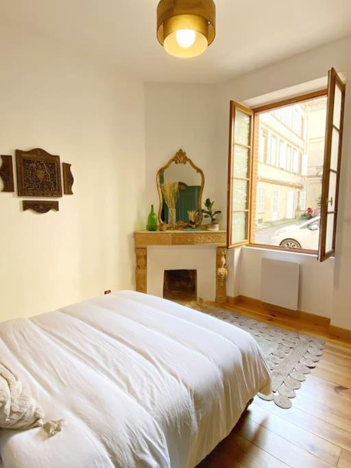 Cocon Cosy Dans La Ville Rose Toulouse Eksteriør billede