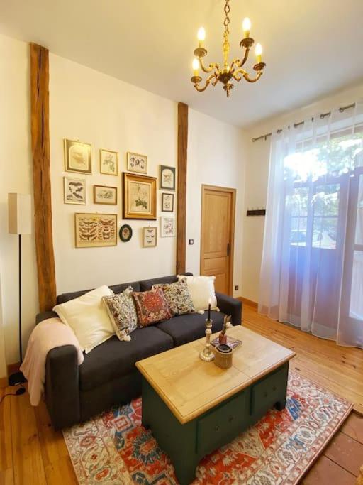Cocon Cosy Dans La Ville Rose Toulouse Eksteriør billede