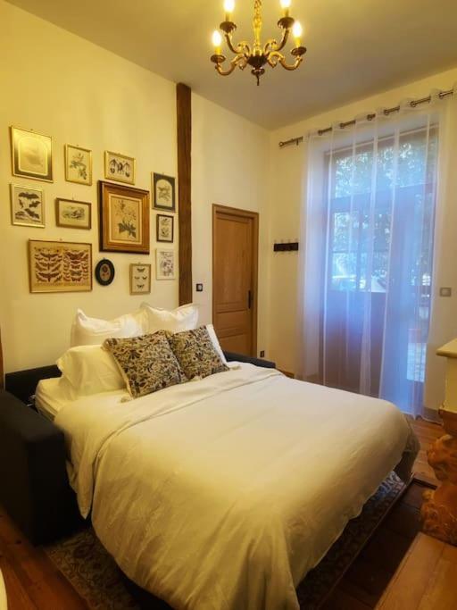 Cocon Cosy Dans La Ville Rose Toulouse Eksteriør billede